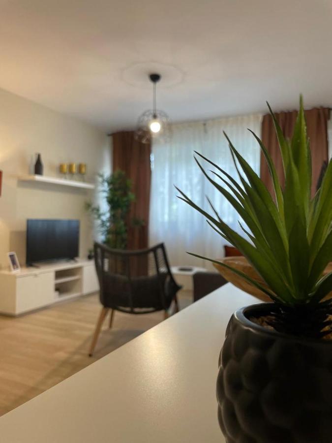 Apartamento Jerez 2022 Χέρεζ Εξωτερικό φωτογραφία